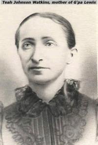 Teah Jensine Elgine Johnson (1847 - 1933) Profile